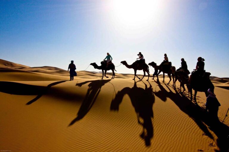 Camel Trekking A Journey Through the Dunes