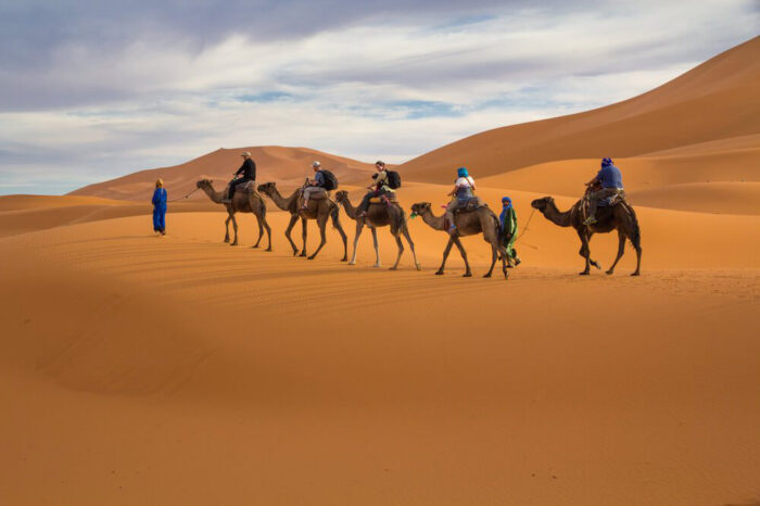 Camel Trekking – A Journey Through the Dunes