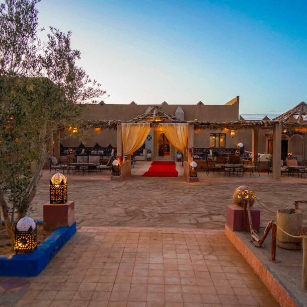 Palm Trees & Desert Views at Hotel Sahara Garden