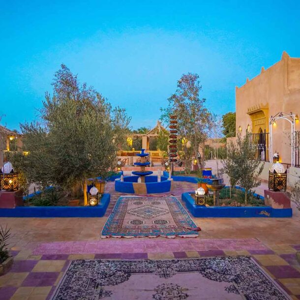 Palm Trees and Desert Views at Hotel Sahara Garden