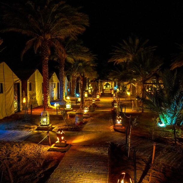 Peaceful Night Views from the Sahara Garden Camp